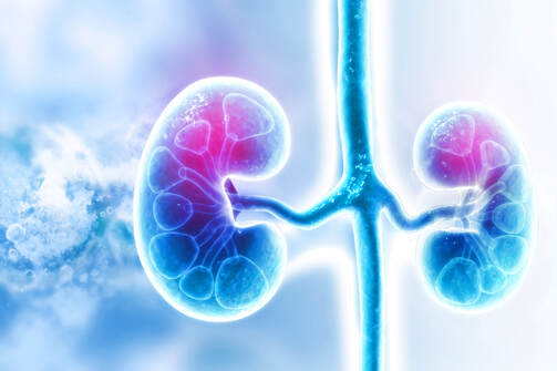 An image of kidneys with a blue, scientific theme